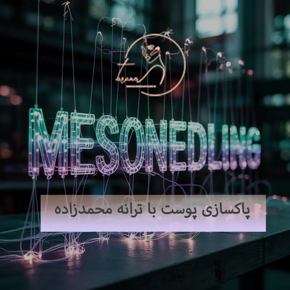 خدمات مزونیدلینگ با ترانه محمدزاده4-4