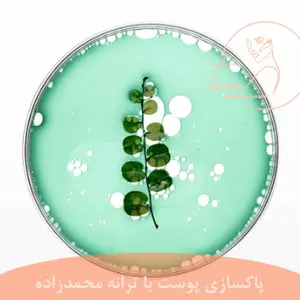 سورفاکتانت-ویژگیها و کاربردها