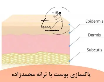 لایه درم: ساختار و عملکرد-پاکسازی پوست